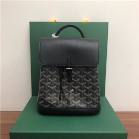 GOYARD 고야드 알핀 미니 백팩 G80901-5 신상