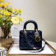 DIOR 디올 레이디백 20CM D38609-7